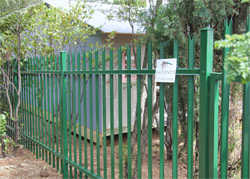 Palisade